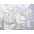 Květinová koule  - bílá - 3ks