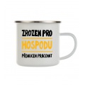 Plecháček bílý - Zrozen pro hospodu