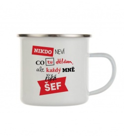 Plecháček bílý - Nikdo neví, co tu dělám, ale každý mně říká šéf