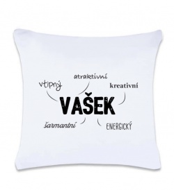 Polštář s potiskem - Vašek