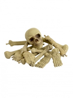 Dekorace Balík kostí