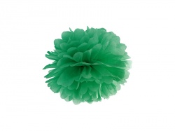 Zelený pompom