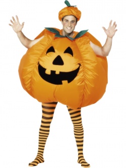 Dýně