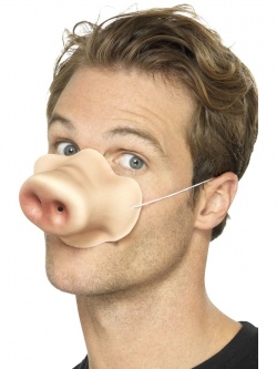Prasečí rypáček II